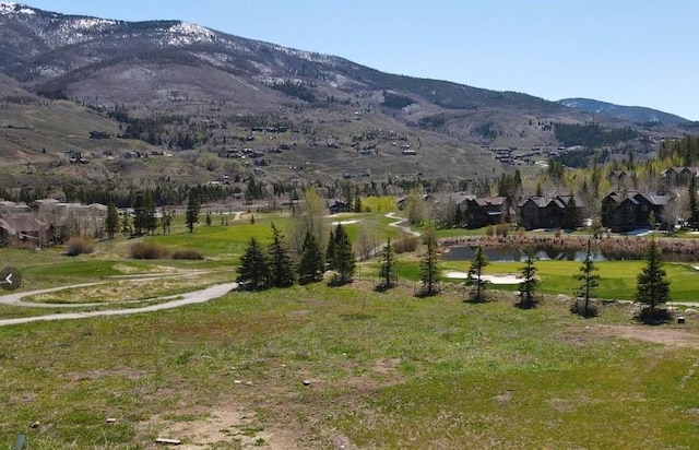 2911 Ninth Green Ct, Silverthorne, CO 80498