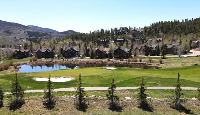 2911 Ninth Green Ct, Silverthorne, CO 80498