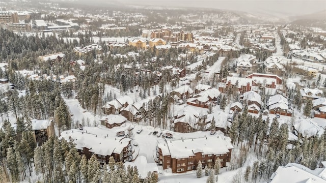 snowy aerial view featuring a mountain view