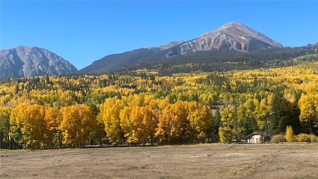 44 Maverick Way, Silverthorne, CO 80498 - mountain view featuring a heavily wooded area