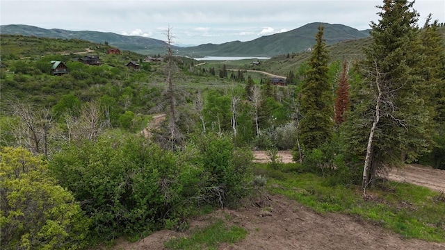 22890 Snowbird Trl, Oak Creek, CO 80467