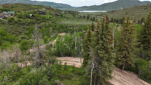 22890 Snowbird Trl, Oak Creek, CO 80467