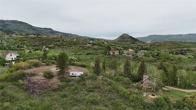 22890 Snowbird Trl, Oak Creek, CO 80467