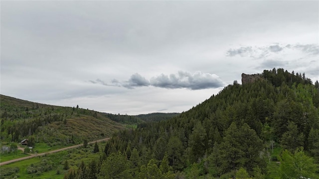22890 Snowbird Trl, Oak Creek, CO 80467