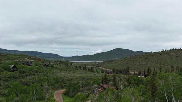 22890 Snowbird Trl, Oak Creek, CO 80467