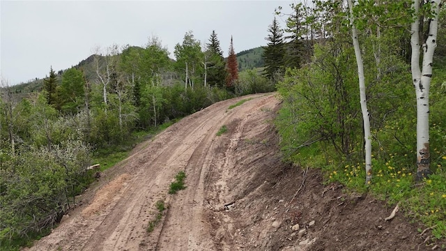 22890 Snowbird Trl, Oak Creek, CO 80467