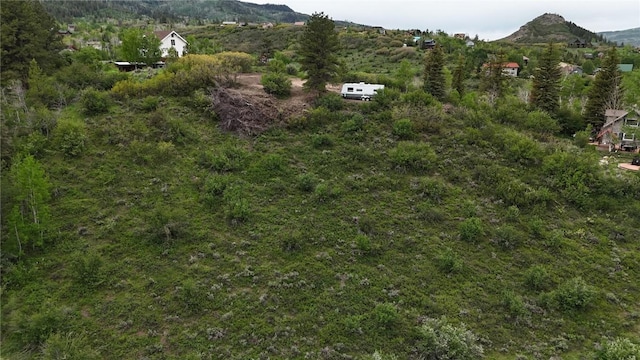 22890 Snowbird Trl, Oak Creek, CO 80467