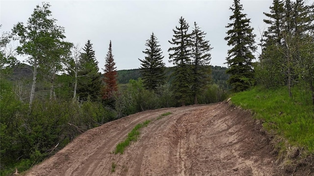 22890 Snowbird Trl, Oak Creek, CO 80467