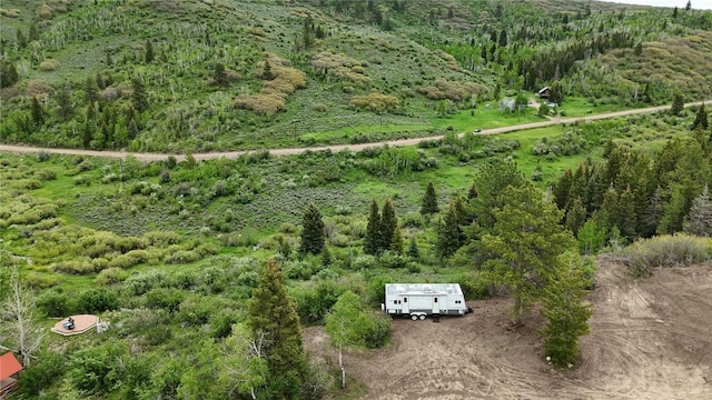 22890 Snowbird Trl, Oak Creek, CO 80467