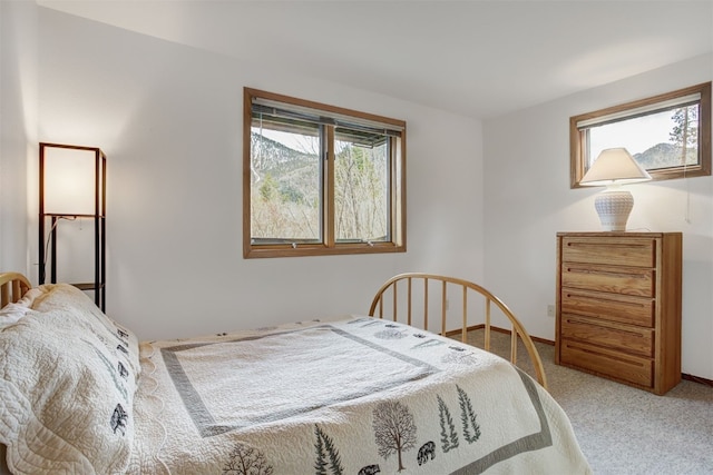 400 Bayview Dr Unit D, Frisco, CO 80443 - carpeted bedroom with baseboards