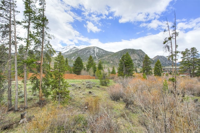 400 Bayview Dr Unit D, Frisco, CO 80443 - view of mountain backdrop