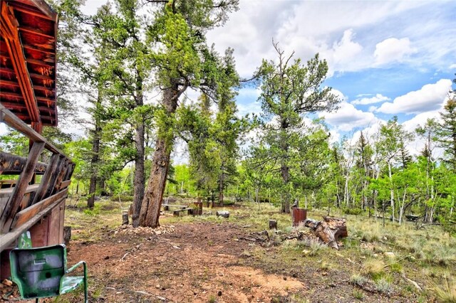 178 Wesson Ln, Como, CO 80432 - view of yard