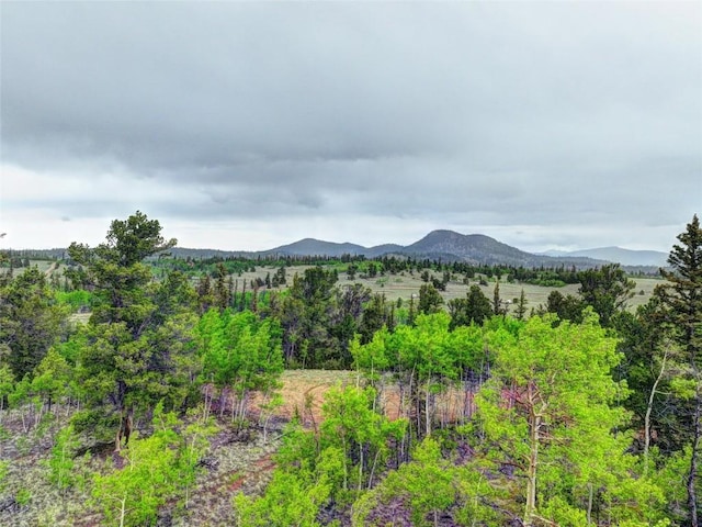 view of mountain feature
