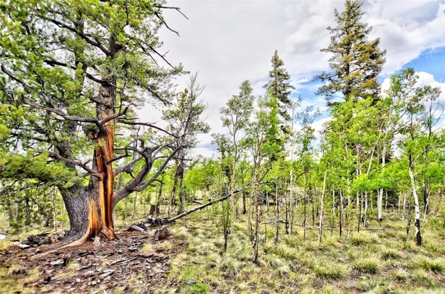 178 Wesson Ln, Como, CO 80432 - view of landscape