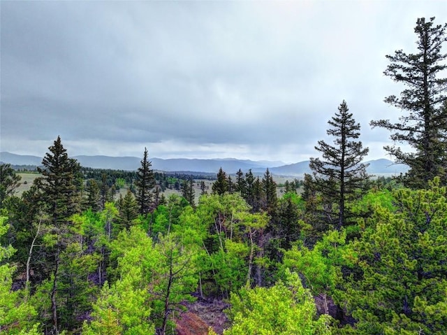 mountain view featuring a wooded view
