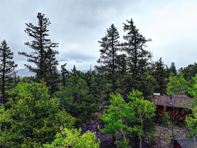 exterior space with a wooded view