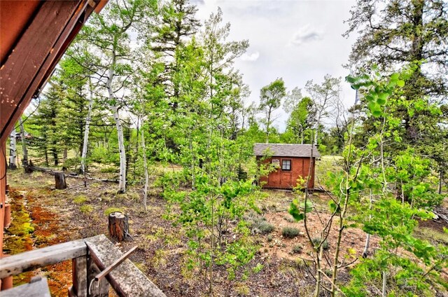 178 Wesson Ln, Como, CO 80432 - view of yard with an outbuilding and a shed