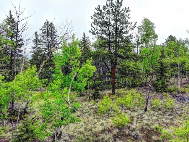 view of nature with a view of trees