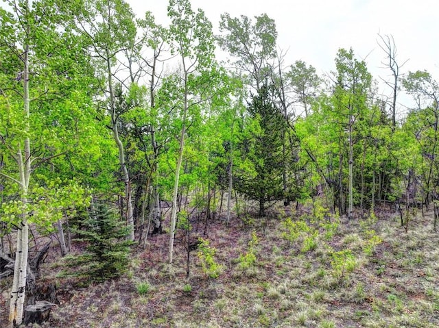 view of local wilderness featuring a forest view