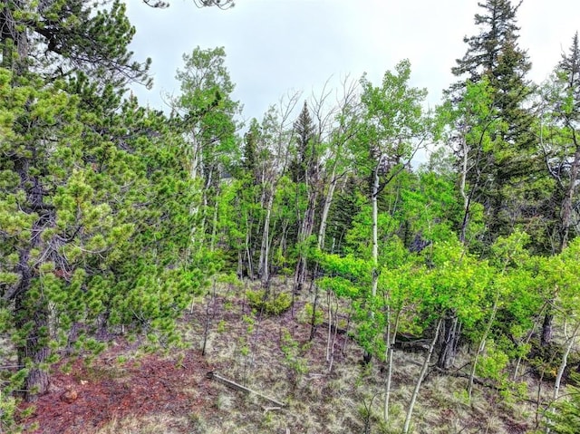 view of nature