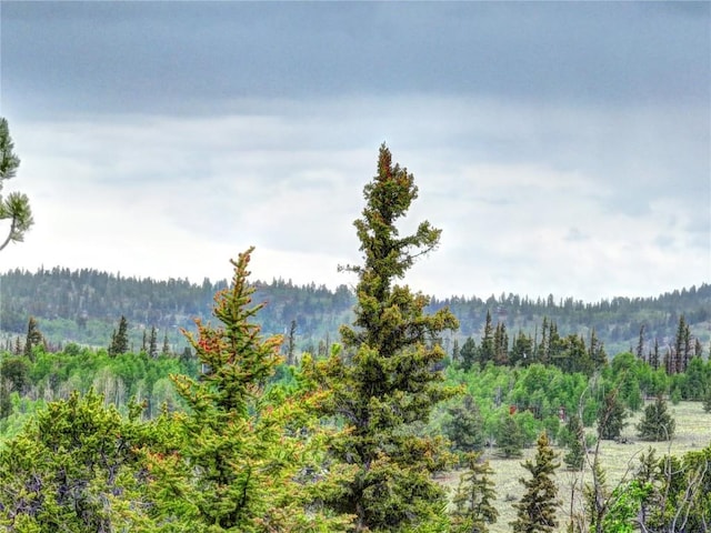 view of mountain feature featuring a view of trees