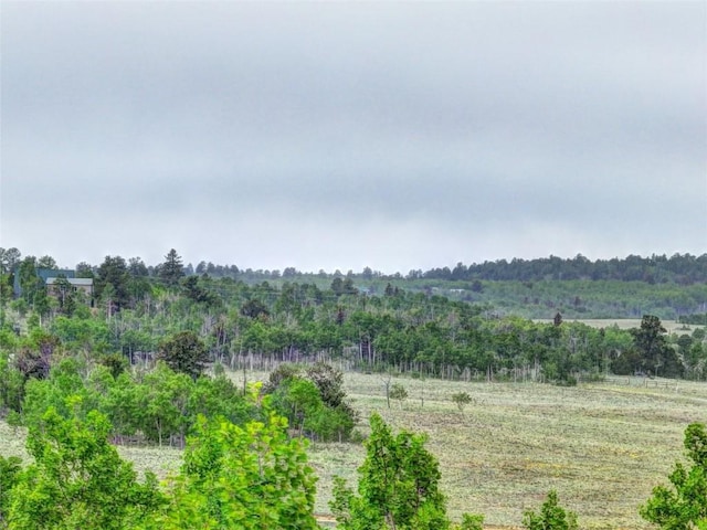 exterior space with a rural view and a forest view