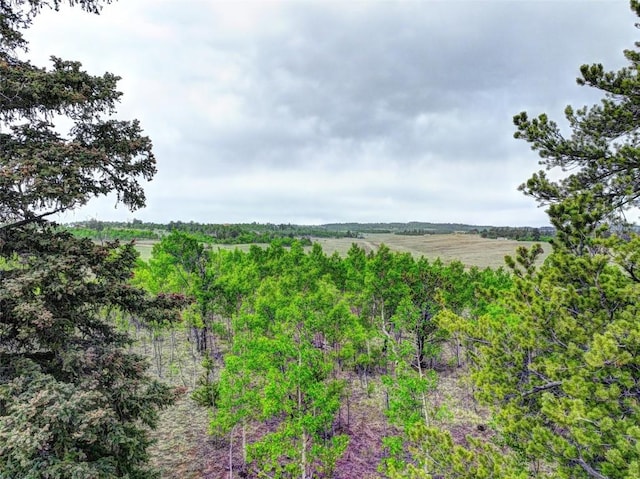 view of local wilderness