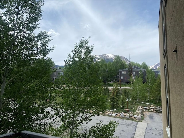 7237 Ryan Gulch Rd Unit 307, Silverthorne, CO 80498 - view of yard