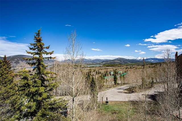 7237 Ryan Gulch Rd Unit 307, Silverthorne, CO 80498 - mountain view