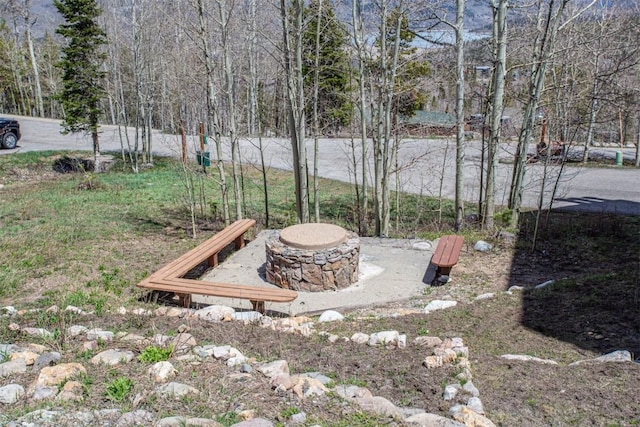 7237 Ryan Gulch Rd Unit 307, Silverthorne, CO 80498 - view of yard with a fire pit