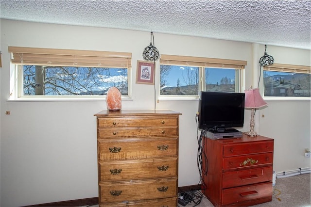 7237 Ryan Gulch Rd Unit 307, Silverthorne, CO 80498 - bedroom with a textured ceiling and carpet floors
