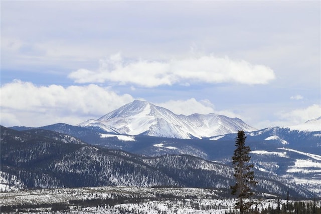 7237 Ryan Gulch Rd Unit 307, Silverthorne, CO 80498 - mountain view