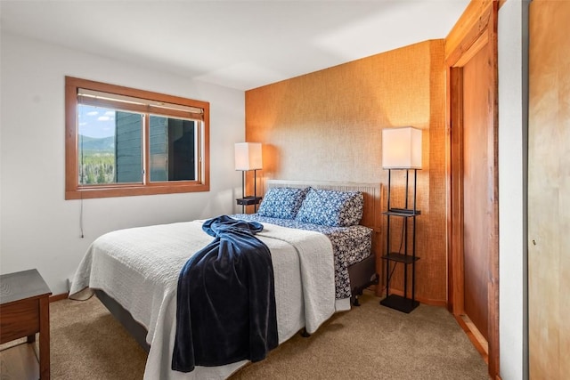 9430 Ryan Gulch Rd Unit 9453, Silverthorne, CO 80498 - bedroom featuring carpet and baseboards