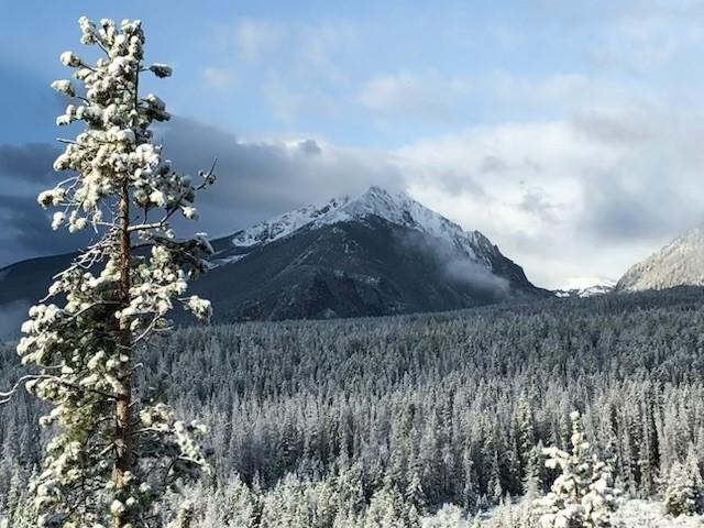 9430 Ryan Gulch Rd Unit 9453, Silverthorne, CO 80498 - view of mountain backdrop featuring a forest