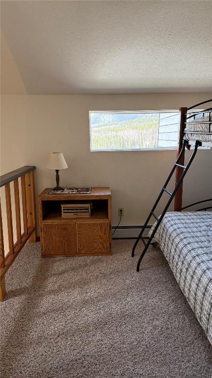 9430 Ryan Gulch Rd Unit 9453, Silverthorne, CO 80498 - carpeted bedroom featuring multiple windows and a textured ceiling