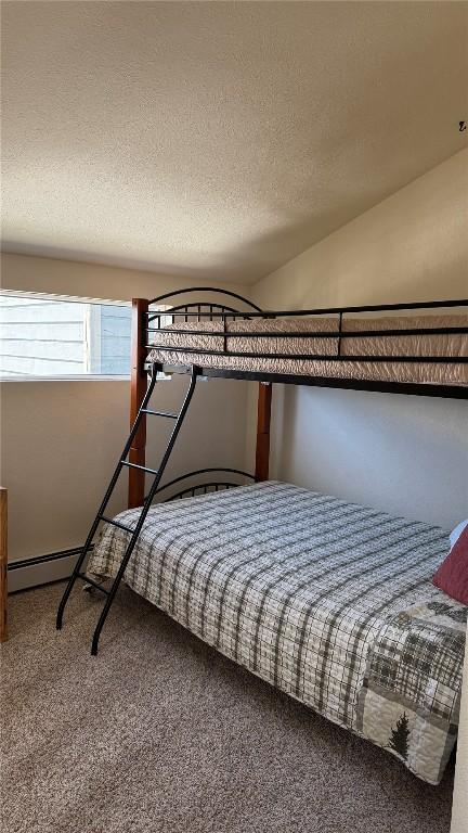 9430 Ryan Gulch Rd Unit 9453, Silverthorne, CO 80498 - bedroom featuring carpet and a textured ceiling