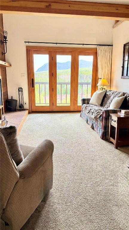 9430 Ryan Gulch Rd Unit 9453, Silverthorne, CO 80498 - living room with carpet and healthy amount of natural light