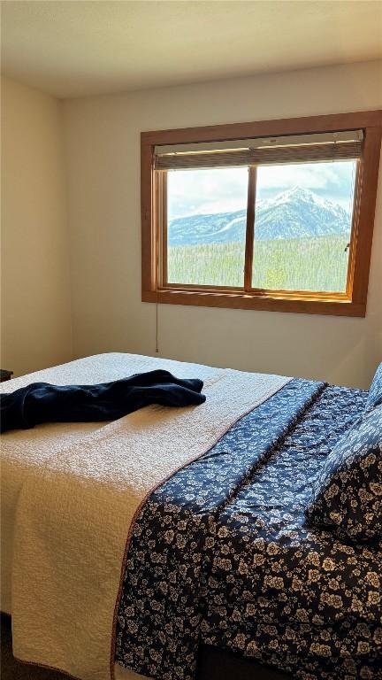 9430 Ryan Gulch Rd Unit 9453, Silverthorne, CO 80498 - view of bedroom
