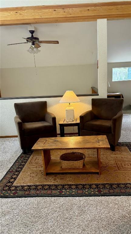 9430 Ryan Gulch Rd Unit 9453, Silverthorne, CO 80498 - living area featuring ceiling fan