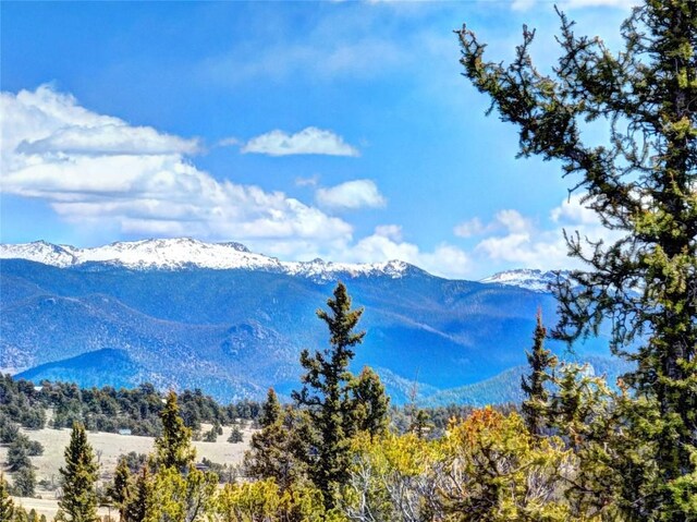 220 Pepperbox Path, Como, CO 80456 - photo 18