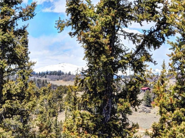 220 Pepperbox Path, Como, CO 80456 - photo 20