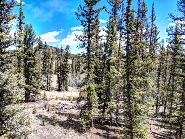 220 Pepperbox Path, Como, CO 80456 - photo 12