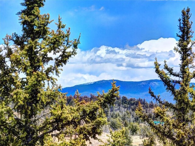 220 Pepperbox Path, Como, CO 80456 - photo 17
