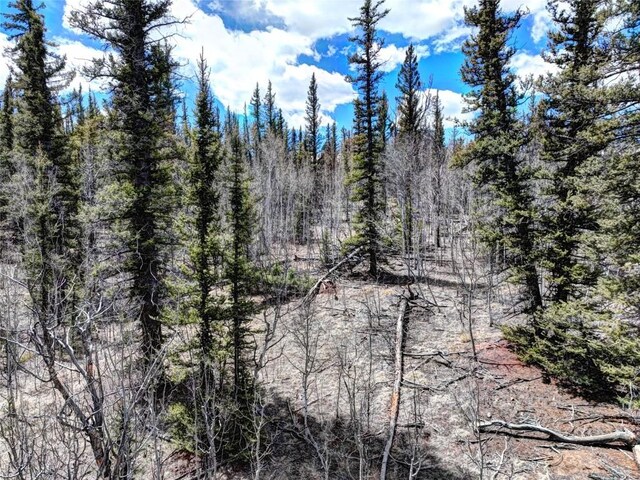220 Pepperbox Path, Como, CO 80456 - photo 14