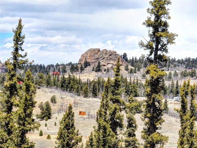 220 Pepperbox Path, Como, CO 80456 - photo 21