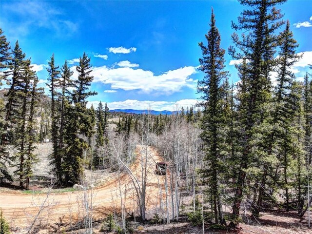 220 Pepperbox Path, Como, CO 80456 - photo 9