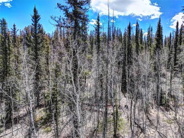 220 Pepperbox Path, Como, CO 80456 - photo 13