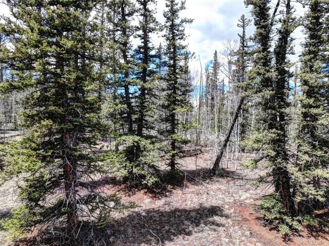 220 Pepperbox Path, Como, CO 80456 - photo 7