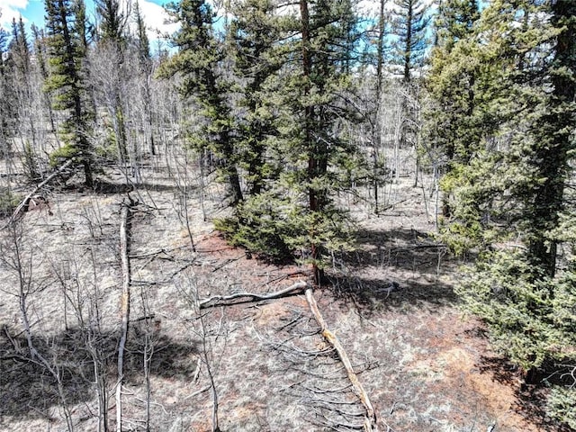 220 Pepperbox Path, Como, CO 80456 - photo 10