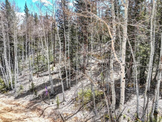 220 Pepperbox Path, Como, CO 80456 - photo 5